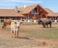 Decatur, TX Rush Creek Ranch Log Home Addition (L12667) - Epic Foto
