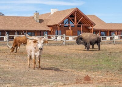 Rush Creek Ranch exterior view with cattle and buffalo.