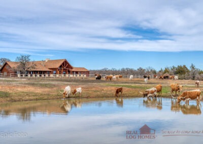 Rush Creek Ranch exterior view with cattle and buffalo drinking.