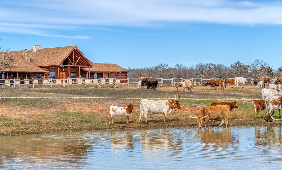 Texas