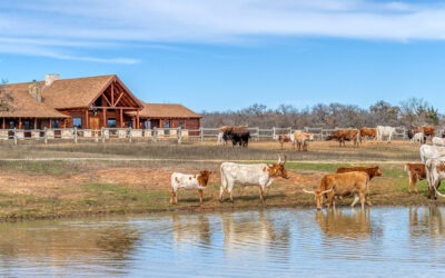 Texas